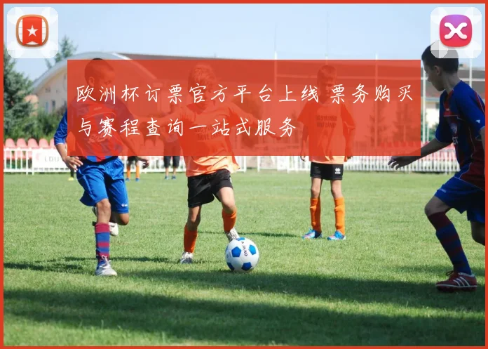 欧洲杯订票官方平台上线 票务购买与赛程查询一站式服务