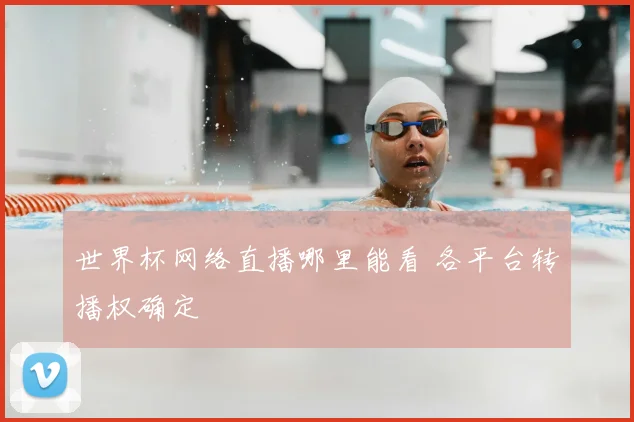 世界杯网络直播哪里能看 各平台转播权确定