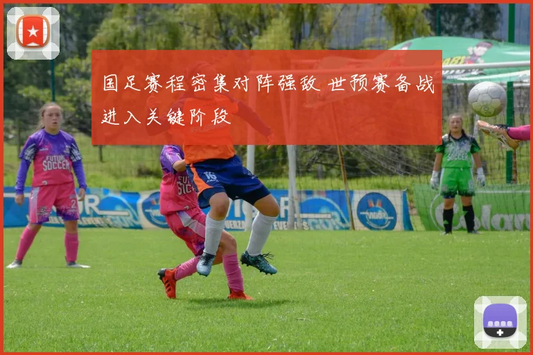 国足赛程密集对阵强敌 世预赛备战进入关键阶段